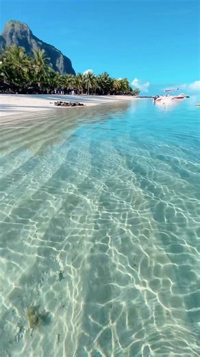 Une plage de rêve à l’île Maurice 📍🇲🇺 avec @mauritius__explored Une plage au sable blanc et une eau transparente. Qui ne rêverait pas d’être sur cette plage en ce moment même ? 😍 Cette plage se trouve au bord d’un hôtel incroyable ✨ Retrouvez cette adresse en cliquant dans notre lien en bio puis en cliquant à nouveau sur la vignette correspondante à ce post ✨ #ilemaurice #ilemaurice🇲🇺 #ilemauricevoyages #îlemaurice #lessplendeursdumonde #splendeur #splendeurdumonde #splendeurs #voyage #voy