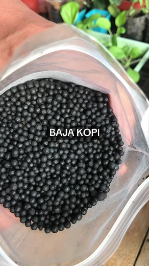 Manfaat Baja Kopi untuk Tanaman Kebun Anda