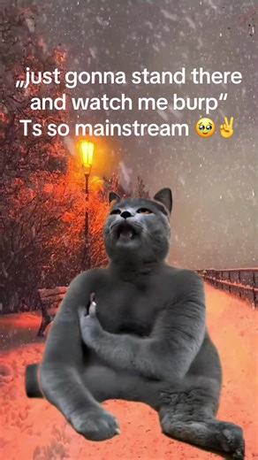 #brup #bruping #meme #mainstream