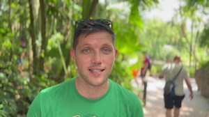 So excited to be involved with the legendary Milwaukee Irish Fest, as well as their Milwaukee Irish Fest Summer School, next week!! It's not too late to sign up for lessons with me next week! Here are the links for anyone interested: ☘ IRISH HISTORY: FROM FIRST SETTLERS TO THE JACOBITE MOVEMENT (15th - 17th Aug): https://irishfestsummerschool.com/Summer-School/Classes/Class-Description.htm?DataID=51666 ☘ IRISH LANGUAGE INTERMEDIATE (15th - 17th Aug): https://irishfestsummerschool.com/Summer-Scho