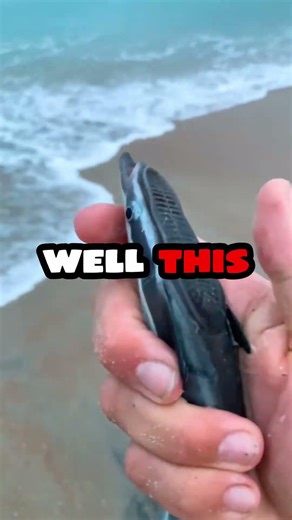 The STICKIEST Fish 😱