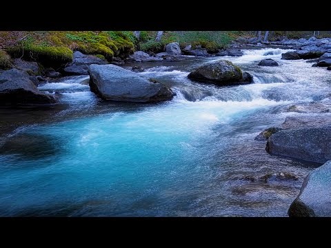 🌊 Smooth River Water's Flow, Gentle White Noise, Calm and Soothing Nature Sounds