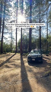 Comment “GUIDE” for a link to our Complete Vancouver Island Guide with more epic spots, over 320 things to do and 10 itineraries! 🗺️📍Pachena Bay Campground, Bamfield⚠️ Note there is an island wide fire ban right now! (This video was taken in April). Always check fire bans before having fires in campgrounds, on the beach or anywhere else! This is a remote, rugged slice of paradise on the west coast of Vancouver Island. It makes the perfect getaway if you're craving beaches, hiking, and a true o