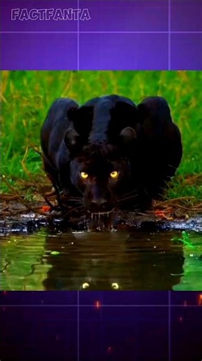 Amazing things You Should Know #shorts