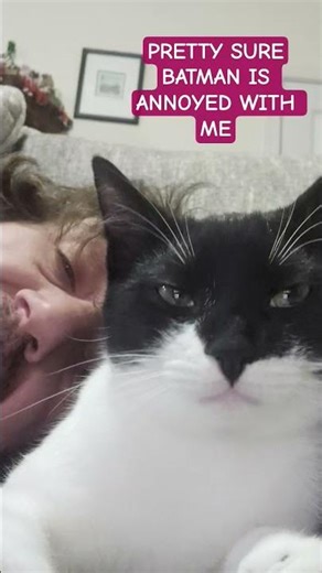 Selfie with Batman until he is annoyed with me. This was when we got home from vacation. #cats #love