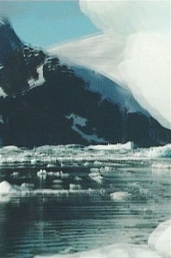 Where to stream A (2002) online? Comparing 50  Streaming Services