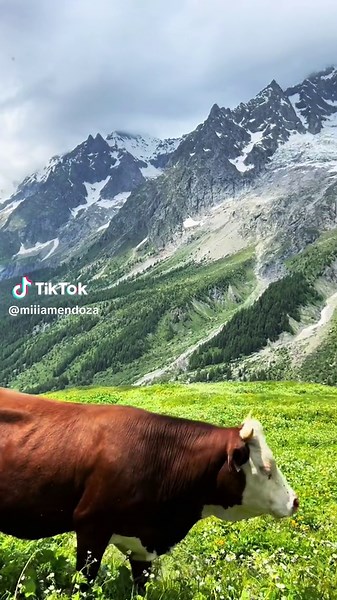 Mia Mendoza (@miiiamendoza)’s videos with Earth by Paige Fish - Paige Fish🌙