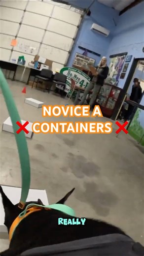 (Novice A) Container - AKC Scent Work Trial - Doberman - Ace (Ace) - December 2025 - Pahrump