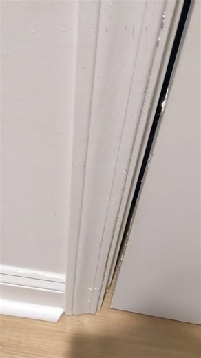 Franklin Cat Insists! Open the Door! #cat #cute #cutecat #meowing #kitty #cowcat #pets