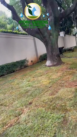 Hydro Gardens Lawns on Reels