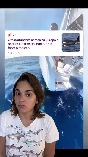 Orca Whale Attacks on Boats: Studying the Aggressive Behavior