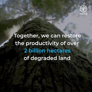 6.8K views · 231 reactions | Drought Desertification Land Degradation... ...impact millions of people & their livelihoods around the . But there is good news! We have the means to restore degraded land & manage risks posed by drought & desertification. Here is how  #2021WDCD | Food and Agriculture Organization of the United Nations (FAO) | Facebook