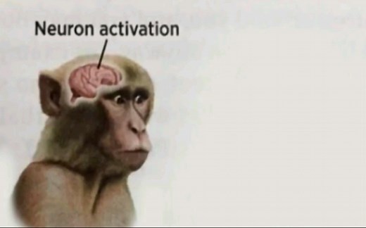 Neuron Activation meme素材