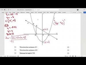 Maths Grade 10: Interpreting Parabola and Linear functions