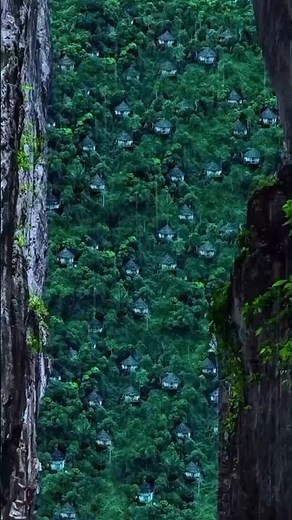 Bird's Nest Resort China Would You Stay Here