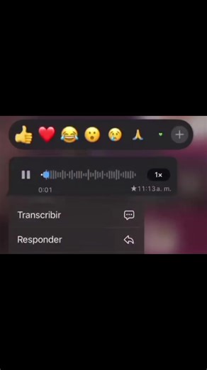 Audios Perfectos para Tu Mejor Amiga
