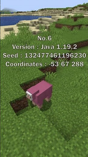 10 Pink Sheep Seeds for Java 1.19.2 | Minecraft