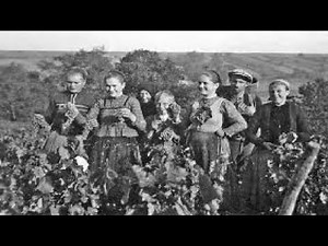 Expulsion - Fate of the Danube Swabians