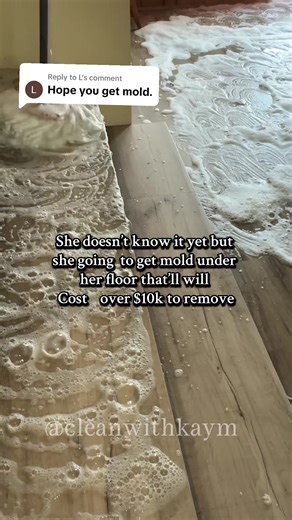 How to Deal with Mold Under Your Floor