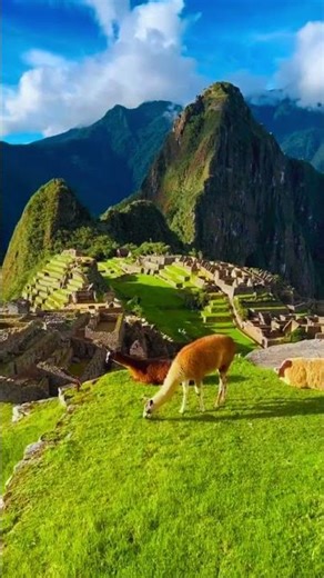 Machu Picchu: The Lost City of the Incas | 7 Wonders of the World