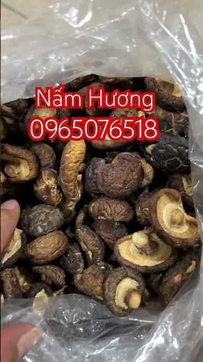 Where to buy shiitake mushrooms, shiitake mushroom prices, what delicious dishes to make with shi...
