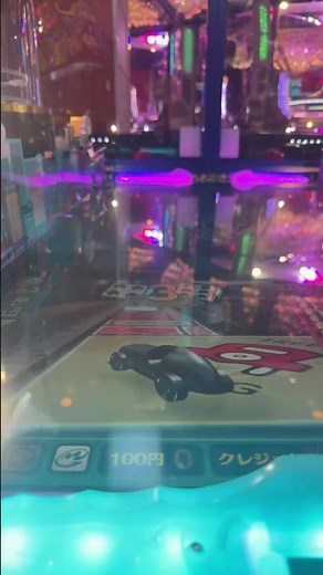 ライブ ハイライト