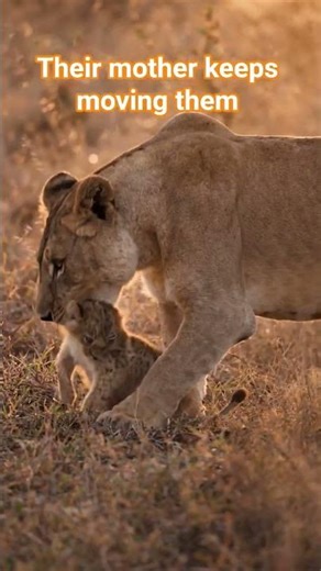 One grip decides everything 🦁