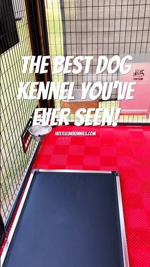The best dog kennel you've ever seen. With solar power!