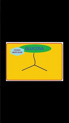 Dolor muscular = fermentación láctica