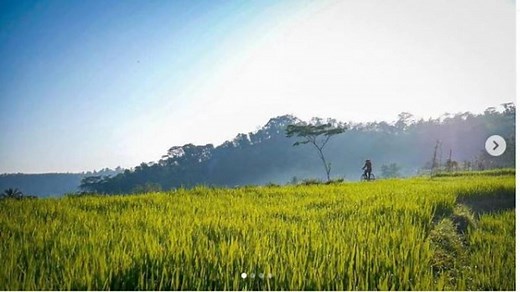 6 Fakta Menarik Sragen, Punya Situs Purbakala yang Diakui UNESCO