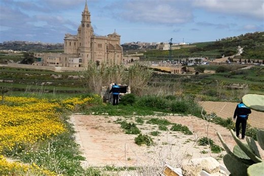 27 illegal bird trapping sites dismantled, 263 birds seized, NGO says - The Malta Independent