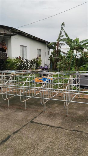 40slot of gestation pen | Z-jay L Apritado