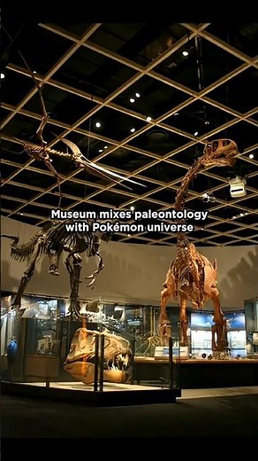 Japan Is Teaching Paleontology Through the Pokémon Fossil Museum #paleontology #educational #fossil