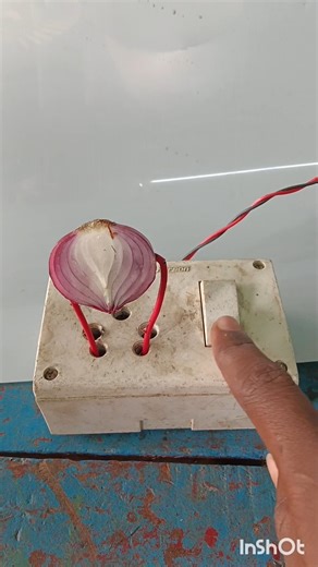 amazing facts #shorts