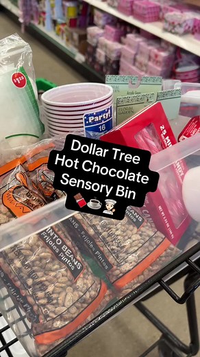Creative Sensory Bin Ideas Using Dollar Tree Items