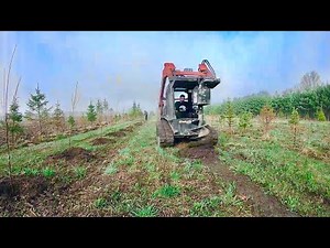 PLANTING 1000 TREES!! Tree Nursery Farm - All Bare Root Trees Spring Planting