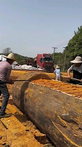 Bee Art (@bee.arts__) • Instagram photos and videos