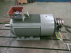 [Hot Item] 3 Phase Wound Rotor Induction Motor AC Industrial Hv Electric Motor
