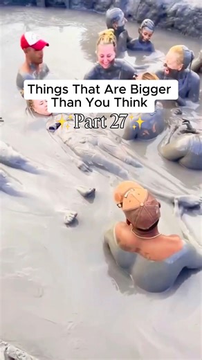 Unseen World | Things That Are Bigger Than You Think 😳 Part 27 #thingsthatarebiggerthantheyseem #intrestingfacts #viralvideotiktok #intresting #bigthings... | Instagram