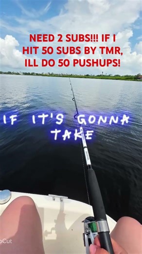 2 MORE SUBS!’ #helpmereach50subs