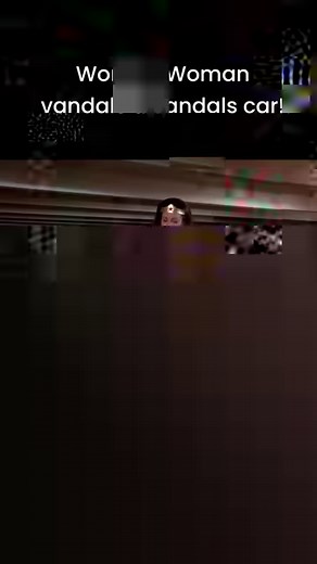 Wonder Woman thwarts a would-be saboteur then turns her car into a mobile jail cell! #retro #wonderwoman #LyndaCarter | Wonder Woman Everything Fans