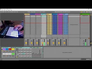 Bongo Percussion Samples and Drum Racks - Free