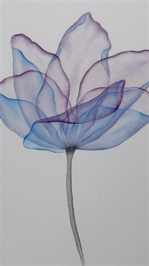 Two-toned transparent flower. Full tutorial coming soon! #transparentflowers #watercolor
