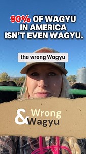 🔥 You’ve been eating the wrong Wagyu. Most “Wagyu” beef in America isn’t even Wagyu — it’s crossbred feedlot beef dressed up with a fancy name. Real Wagyu is rare. It’s 100% Japanese bloodline, regeneratively raised on open land, not locked in a pen. We raise Fullblood Wagyu the way Japan intended — slow, natural, and honest. Every bite tells a story… most just forgot how to read it. 🥩 Discover what real Wagyu tastes like. 🌱 Regeneratively raised. 🇯🇵 100% Fullblood genetics. 📦 Shipped nati