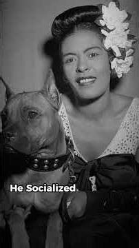 How Bumpy Johnson Ruled Harlem