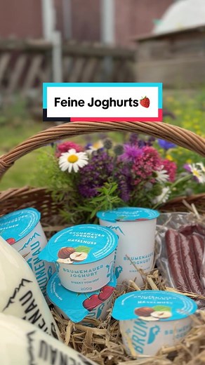 Herstellung von feinen Joghurts 🍓