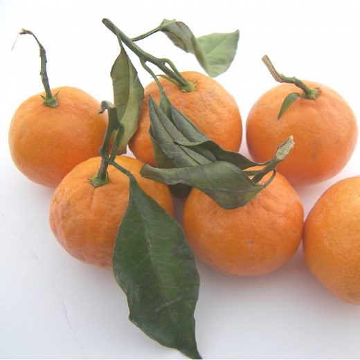 When are Satsuma Mandarins in Season? - Eat Like No One Else
