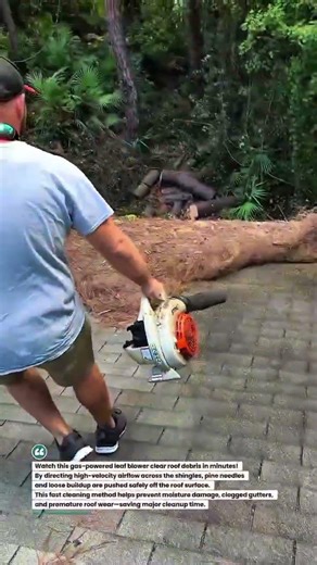 Blow Roof Debris Off in Minutes with This Pro Leaf Blower!#RoofCleaning #LeafBlower #HomeMaintenance