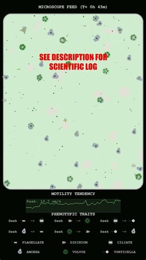 Kinetics of Sustained Didinium Swarm Aggregation