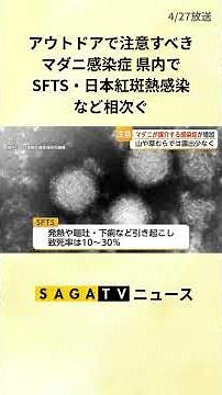 アウトドアで注意すべきマダニ感染症 県内でSFTS・日本紅斑熱感染など相次ぐ【佐賀県】#shorts